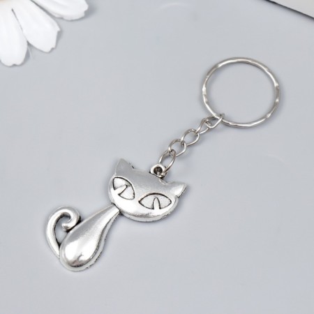 Trick Metal "A cat with slanting eyes" silver 4x2 cm-1
