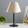 HELIVER OLIVER 1x15W E27 Black/Shampan 25x25x40cm Risalux