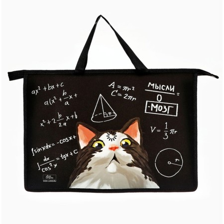 Folder with A4 handles, 335 x 235 x 55 mm, plastic, pens, calligrata "cat"