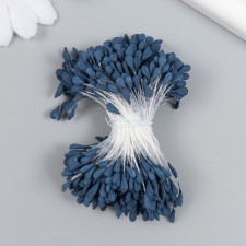 Stamens for flowers 