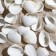 Set of shells, cardium elongatum, size 2.5 - 3.5 cm, 100 g