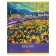 Note 80l CL on the NEW Art bracket, regional cards, gl ladder, embossing, mix