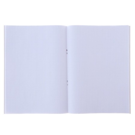 A4 notebook, 96 sheets in the Flamingo cage, covering a shaky cardboard, offset block-1