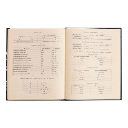 Diary for a music school, 48 sheets, hard cover, matte lamination, foil embossing, reference information, block 60g/m2-13