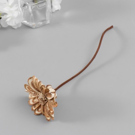 Sticks for the aromadiffusor "Lotus Flower" set 5 pcs + 2 rattan balls-2