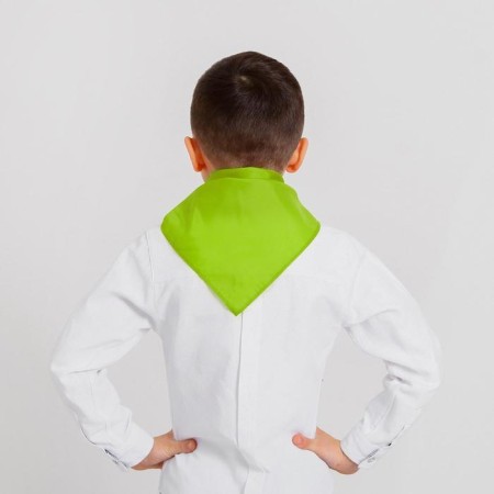 Pioneer tie, green color, shades mix-1