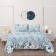 A set with a blanket euro "Massimo", size 230x250 cm, 200x220 cm, 50x70 cm - 2 pcs