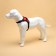Shleka K7 soft reflective, size XL, OG 74-92 cm, weight 28-47.5 kg, red
