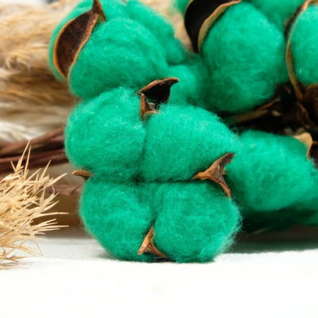 Set of dried flowers "cotton", green, Ø5 cm, 30 cm, 10 pcs-2