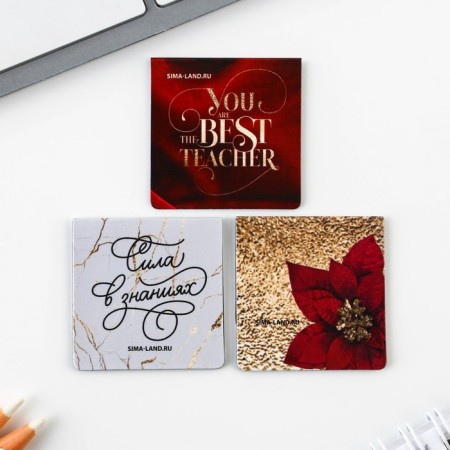 Gift set "Teacher No. 1": A5 diary, 80 sheets, pen, stickers, thermostatic 350 ml and magnetic bookmarks-15