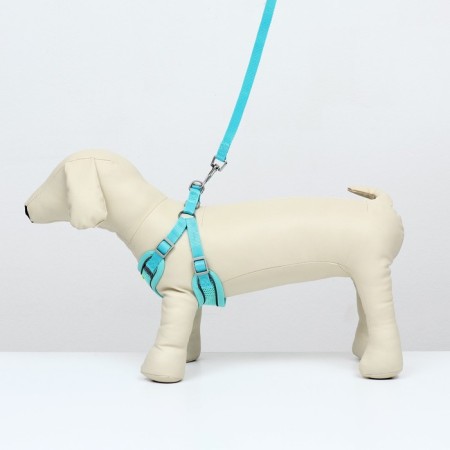 A set with a soft harness, fast-open, l, leash 140 cm, Osh 49-56 cm, og 56-68 cm, turquoise-1
