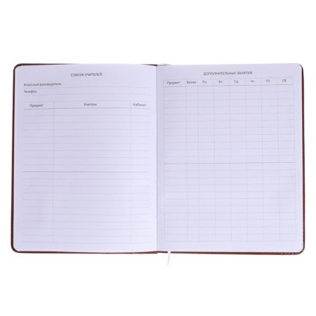 Universal diary for grade 1-11, solid cover, artificial leather, brown cover, liesse, 80 g/m2-5