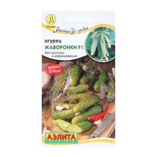 Seeds of cucumber 