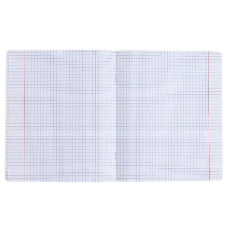 Subject notebook, 48 sheets, cage, chemistry, Erichkrause "BENFORMED", plastic cover silk-screen cover, OFSET BELICE 100%, info block-4