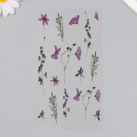 Stickers for creativity plastic "Iris" 21x10.5 cm