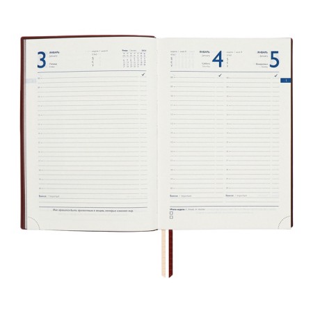Dated 2025 diary, A5+, 176 sheets of Escalada, soft cover cover, pancake embossing, lies, cream block 70 g/m2, brown-11