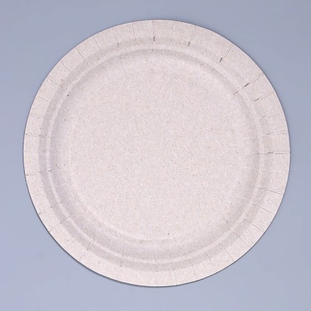Disposable paper plate "like", 18 cm-2