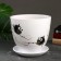 Flower Pot "Birds" 5 l, white