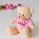 Soft toy "Bear", 20 cm, blouse with the inscription, Mix color