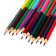 Color pencils, 24 colors, bilateral, puppy patrol