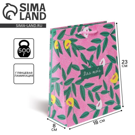Gift package laminated, packaging, for you, MS 18 x 23 x 8 cm