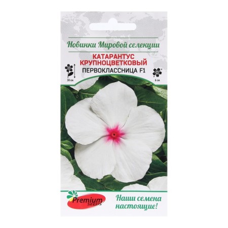 Flower seeds Catarantus Large -flowered "First -grader F1", 5 pcs.