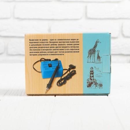 Electrical appliance for wood burning "Disabilities-10k"-2