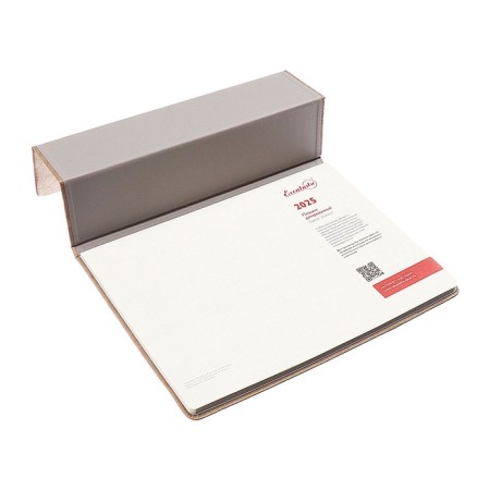 Dated 2025 planning, 250 x 190 mm, 54 sheets, gluing, Escalada, hard -leather cover, pancake embossing, tinted block 70 g/m2, beige beige.-10