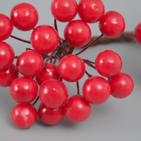 Decor for creativity "Berries" length 1.2 cm, red-2