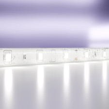 Maytoni LED strip, 12V, IP65, 2835, 4.8W/m, 6000k, 5 m, monochrome glow