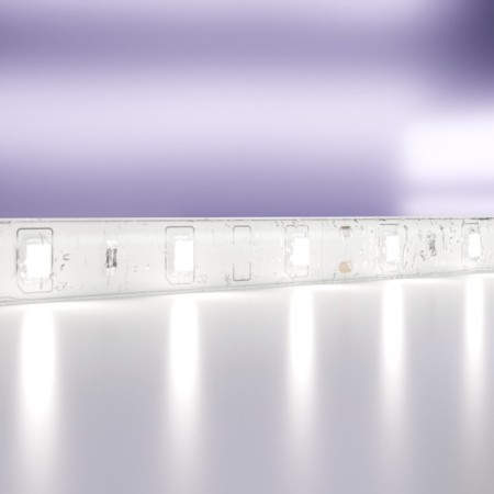Maytoni LED strip, 12V, IP65, 2835, 4.8W/m, 6000k, 5 m, monochrome glow