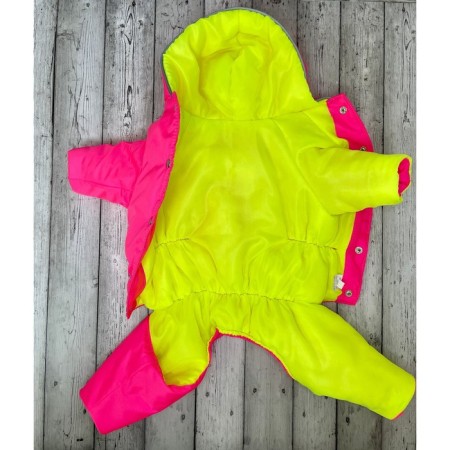 Dogs (bitch) on synthetic winterizer, size 25, neon/pink-1