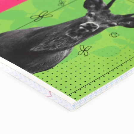 Subject notebook A5, 48 liters on the paper clip “Bright. Biology »Twin Lac, UV Lac, Congrev-1