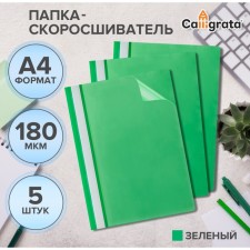 A set of folders-checkers 5pcs. Calligrata, A4, 180MKM, with a green transparent top