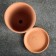 Flower Terra pot No. 2 0.9 l, terracott