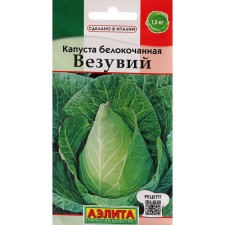 White cabbage seeds 