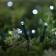 Garland “thread” 20 m, IP44, dark thread, 200 LED, white glow, 2 modes, solar battery