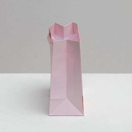 Gift Laminated Horizontal Package, Packaging, You Are Beautiful, 22 x 17.5 x 8 cm-3