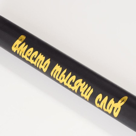 Lacked bat "instead of a thousand words", black with a gold inscription, 65 cm