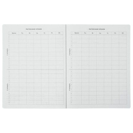 Universal diary for grades 1-11, hard cover, artificial leather, foil embossing, lies, 48 ​​sheets-3