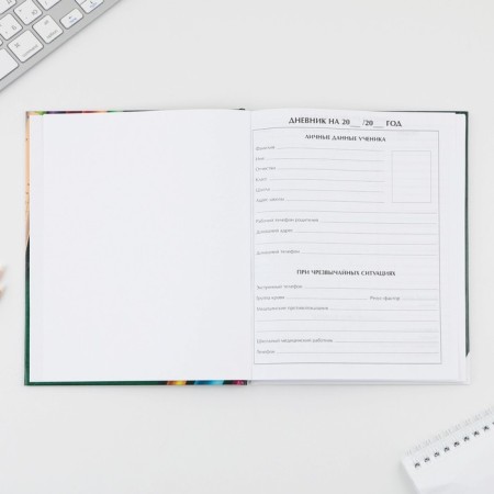 School Diary 1-4 Grade "September 1: School", solid cover 7BC, glossy lamination, 48 sheets-2