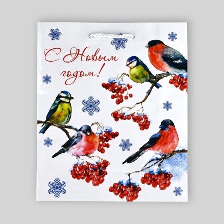 Package New Year's laminated "Bullfinch", ML 21 x 25 x 8 cm-3
