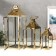 Summary Metal, glass Lantern "Romb" gold NR 3 pcs 55x18x18 37.5x14.5x14.5 26x10x10cm