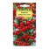 Pyracante seeds "bright red", 5 pcs.