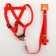 Set "Basis", leash 120 x 1.5 cm, OG 32-46 cm, red