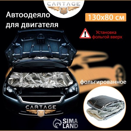 Authorized for the engine Cartage, 130 x 80 cm, foil-1