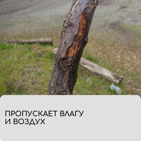 Бинт садовый, 10 × 0,08 м, плотность 60 г/м², спанбонд с УФ-стабилизатором, белый, Greengo, Эконом 20%-5