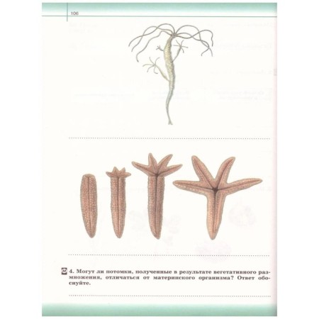 Textbook. GEF. Biology. General biology. Basic level, Red, 2020. Grade 10. Siveglazov V.I.-1