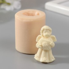 Mold Silicon 