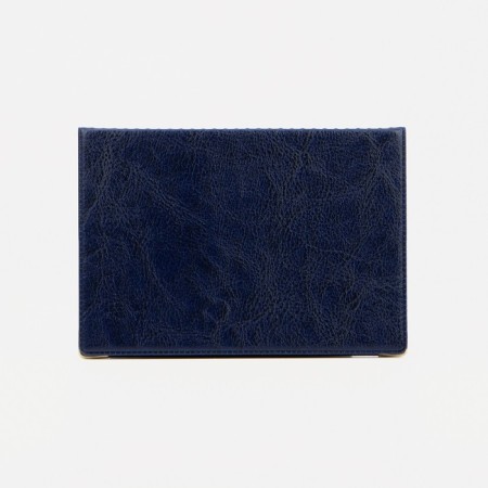 Cover for passport, blue color-1